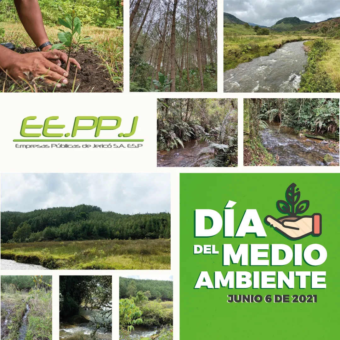 Conmemoración Día del Medio Ambiente